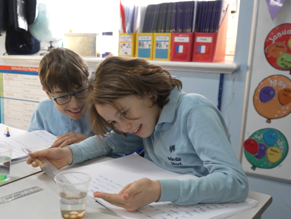 Belleville Primary School